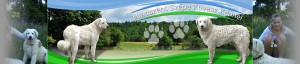 Mindszent Szépe Kuvasz Kennel