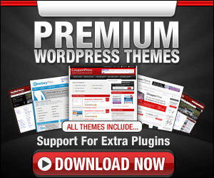 Premium WordPress Theme